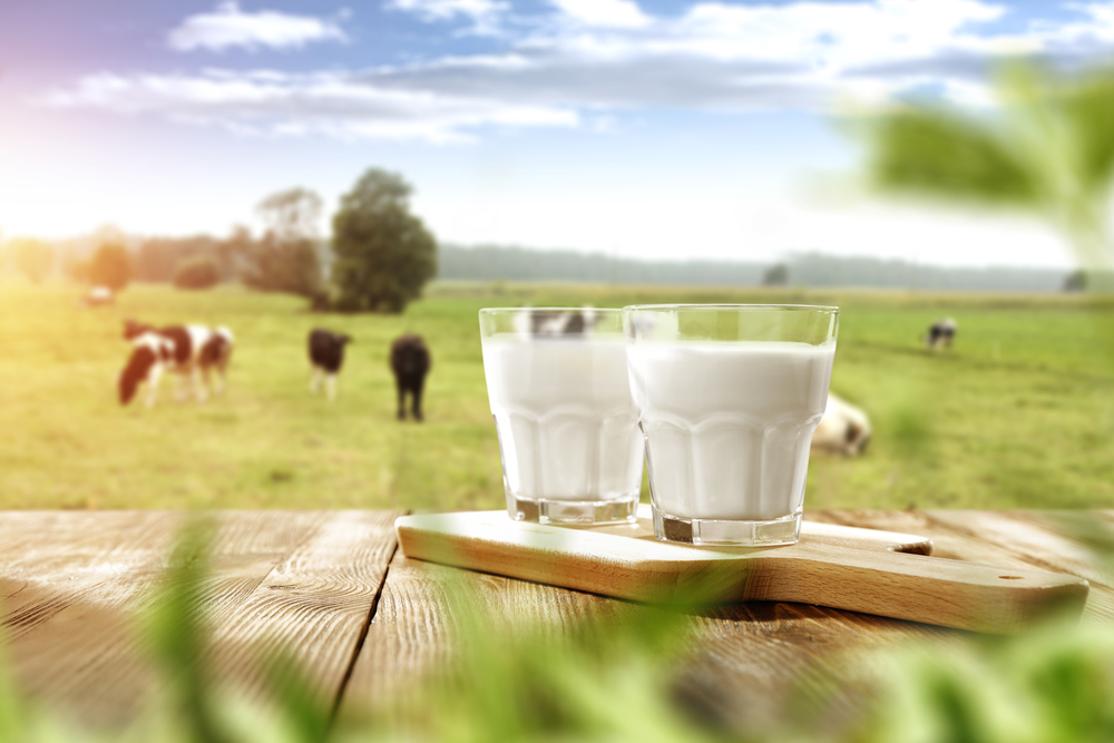 Ini Perbedaan Susu Full Cream dan Susu Low Fat